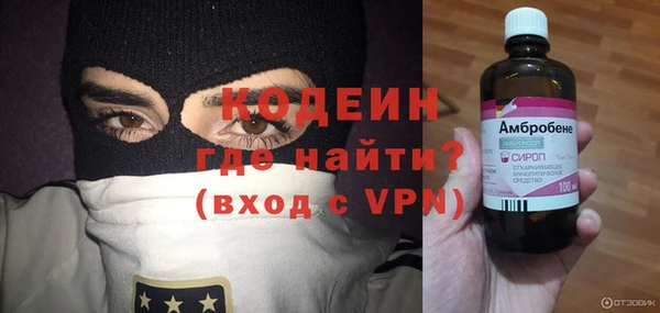 МДПВ Пересвет