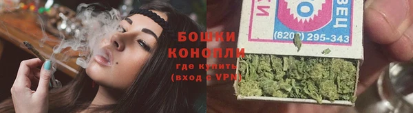 крисы Осинники