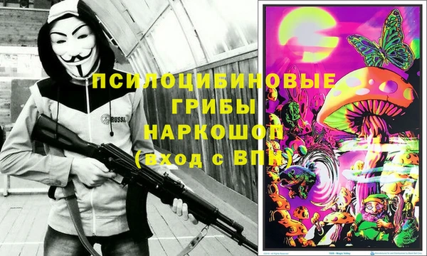 крисы Осинники