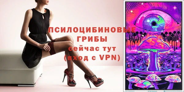 МДПВ Пересвет