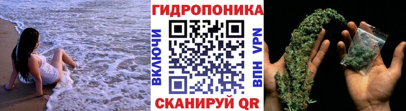mega как зайти  Правдинск  Шишки марихуана AK-47 
